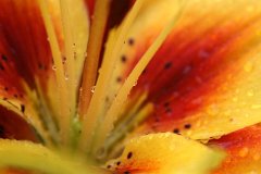 photo 0111